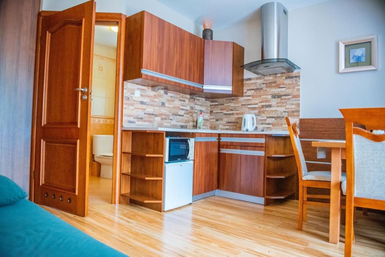 Apartamenty Willa Alesandro Zakopane Ngoại thất bức ảnh